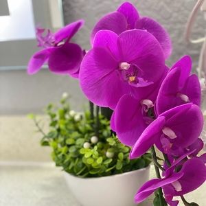 Meet your Posher, Suphanit